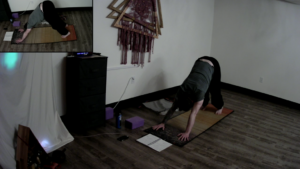 More Ahimsa Sunrise Yoga Flow